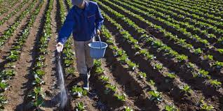 شناخت بیماری ها، کوددهی مناسب