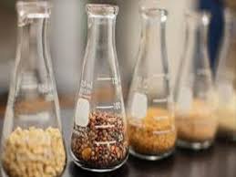 خدمات آنالیز خوراک دام و طیور