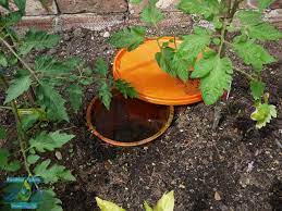 آبیاری قطره ای سفالی یا کوزه ای