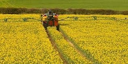 اصلاح روش در مدیریت زراعت دانه های روغنی