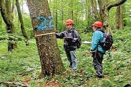 خدمات حفاظت و احیای جنگل و جنگلداری