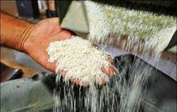 خدمات برنج کوبی